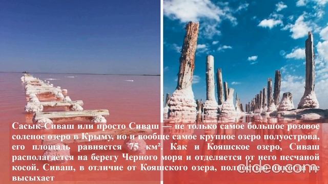 Медиа-обзор "Уникальная природа Крыма" смотреть онлайн