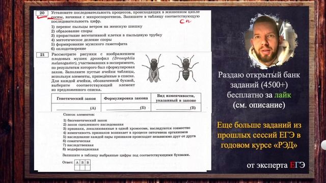 Разбор | Рохлов 2023 | 3 вариант | БИОЛОГИЯ ЕГЭ смотреть онлайн