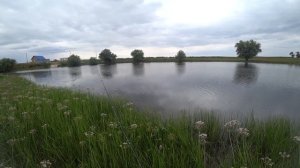 Щука на джеркбейт летом. #Jerkbait #pike #Fish #volgaspintv