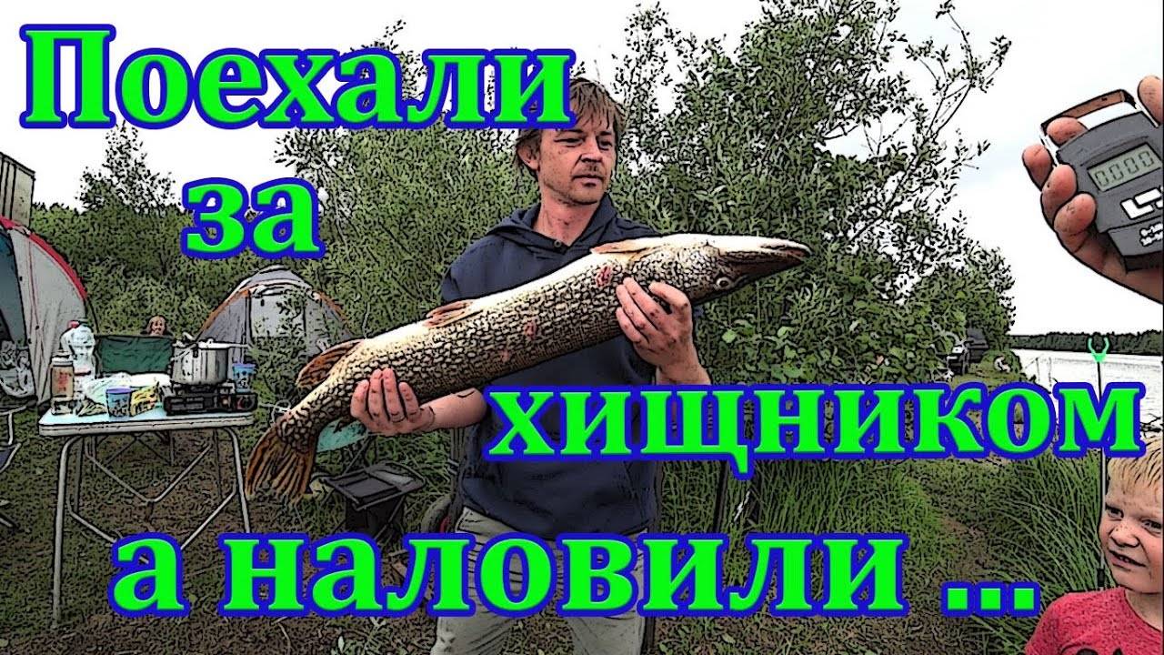 Три дня на рыбалке с семьями на волжских разливах. Щука, судак, окунь, лещ. смотреть онлайн