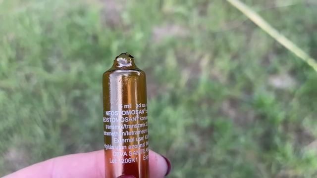 Куры Несутся Летом как Зимой Спасаю Шелковицу смотреть онлайн