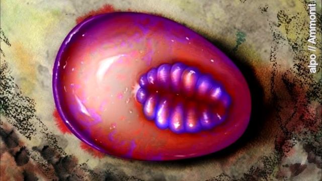 Развитие жизни на Земле (The Evolution of Life) - Онега (Onega stepanovi) смотреть онлайн