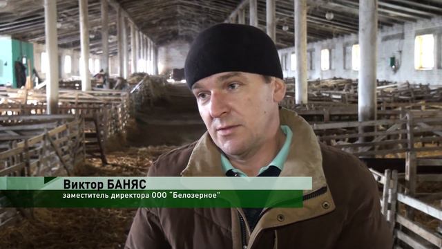Станица-на-Дону от 17 января 2019 смотреть онлайн