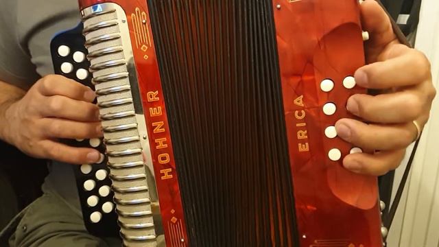 Guaracha: La Piña Madura-Acordeon Hohner Erica смотреть онлайн