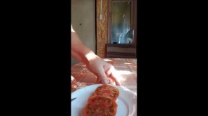 Обзор коллекционного томата гнома Тасманский шоколад