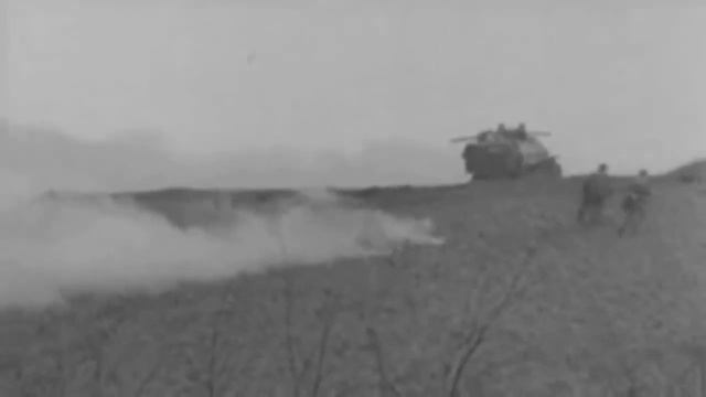 Waffen SS   April,1945, Final Battle,Very Rare