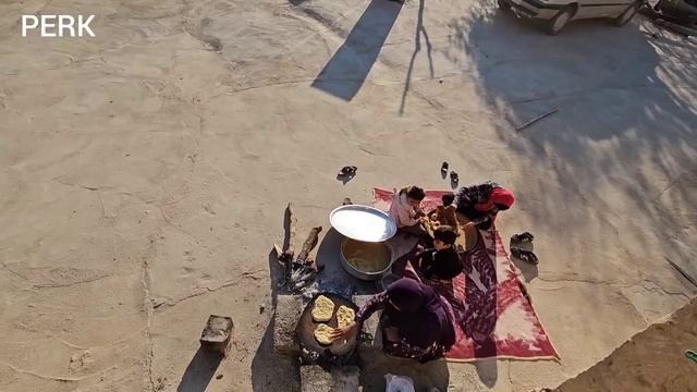 Happiness Of Young People In Fariba's House