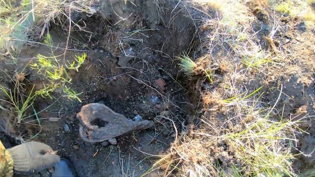 Коп металлолома и сбор облепихи смотреть онлайн