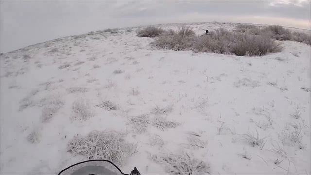 ДОБЫТЬ МАТЕРУЮ ВОЛЧИЦУ. охота на волков hunting wolves смотреть онлайн