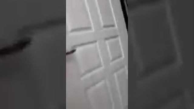 Адлер. Заезд наших отдыхающих на Свердлова Гостевой Дом. Пляж Чайка 6 мин пешком. 89884182484 смотреть онлайн