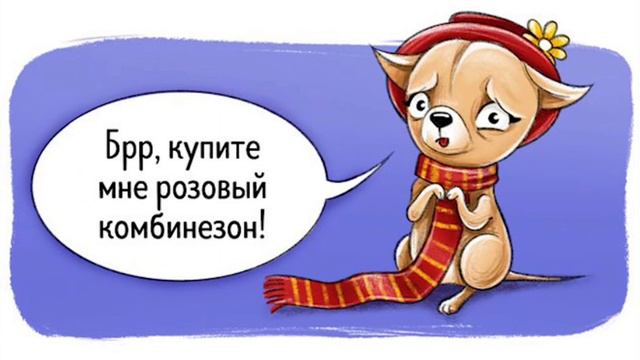 чихуахуа смотреть онлайн