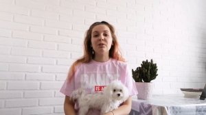 МАЛЬТИЙСКАЯ БОЛОНКА/ПЛЮСЫ И МИНУСЫ ПОРОДЫ