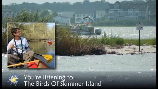 The Birds of Skimmer Island смотреть онлайн