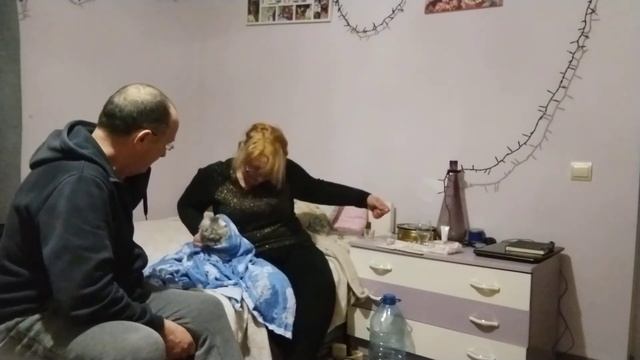 Лечим от ушного клеща своих питомцев! смотреть онлайн