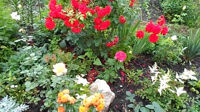 МОЯ ЛЮБИМАЯ ДАЧА ) ИЮНЬСКИЕ КРАСКИ У МЕНЯ В САДУ. смотреть онлайн