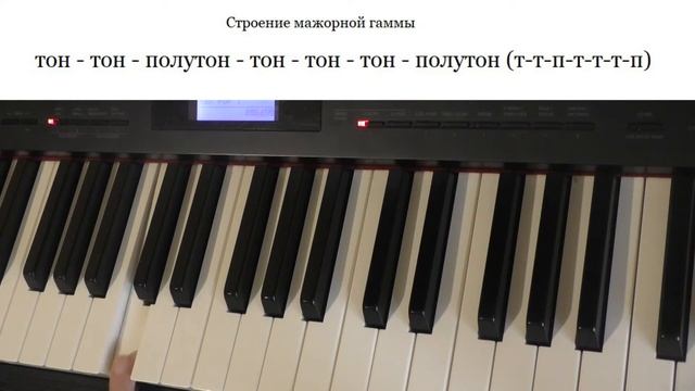 28. ЧТО ТАКОЕ ГАММА. СТРОЕНИЕ МАЖОРНОЙ ГАММЫ. ГАММА ДО МАЖОР. Уроки сольфеджио 0-1 класс смотреть онлайн