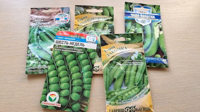 Горох. Лучшие семена  2024 года