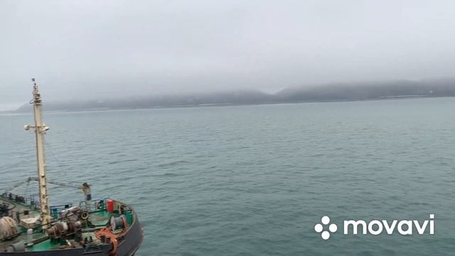 Туапсе - Карасу паром Firuze смотреть онлайн