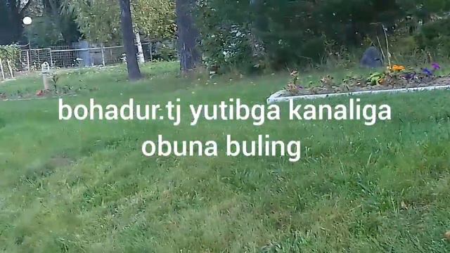 Фабрека мебель для ванной комнаты смотреть онлайн