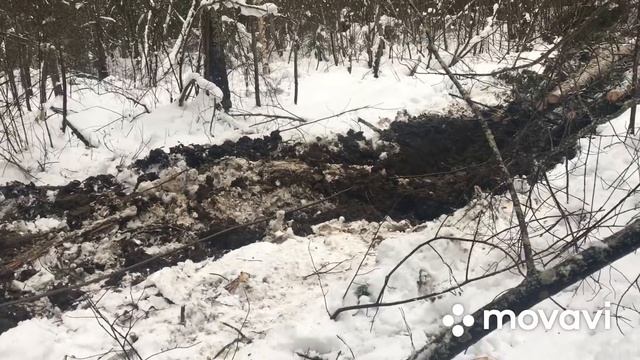 ТдТ-55 в лесу в грязи. смотреть онлайн