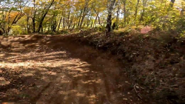Raw 4k- Upper Section of Burmese Python - Beech Mountain Bike Park - October 2022 смотреть онлайн