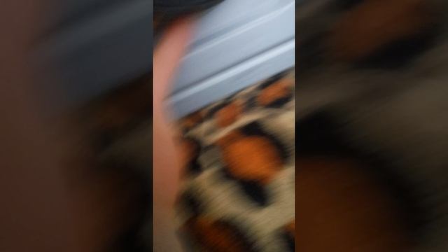 Колонка с говном палок смотреть онлайн