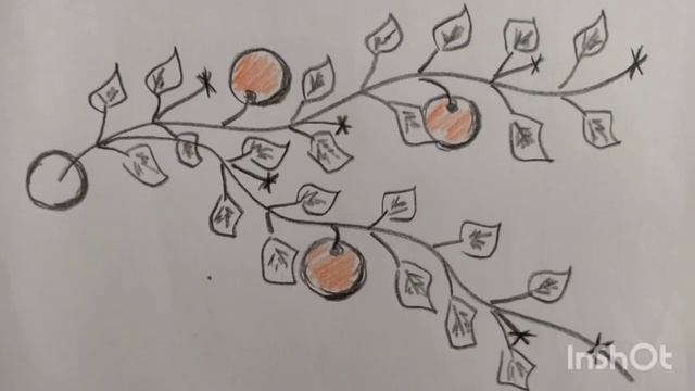 Для чего формировать тыкву? Как и когда формировать тыкву?Прищипывание тыквы в открытом грунте смотреть онлайн