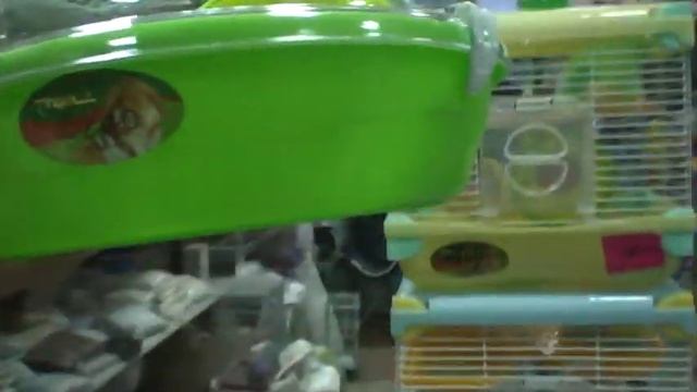 обзор клетки-БОКСА ДЛЯ ХОМЯЧКА. Шикарные апартаменты!!! смотреть онлайн