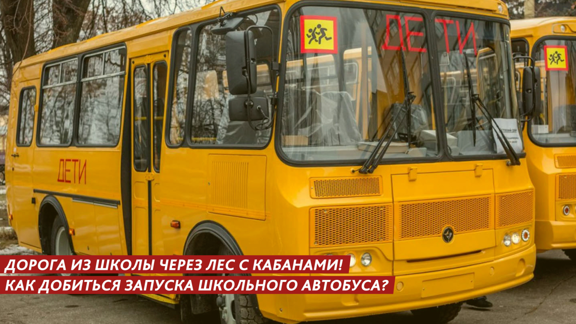 Дорога из школы через лес с кабанами! Как добиться запуска школьного автобуса? смотреть онлайн