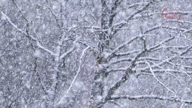 Притча о двух снежинках. Притчи в картинках. смотреть онлайн