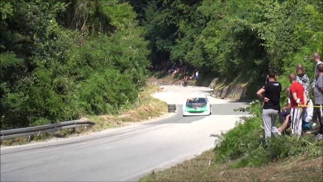 Aleksandar Rogulic - Brdska trka Tara 2023 - Peugeot 206 maxi смотреть онлайн