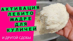 Активация левито мадре//Секреты идеального кулича {Увеличиваем подъемную силу. Часть 2}
