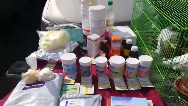 "" ВЫСТАВКА ГОЛУБЕЙ "" ПЕТРОПАВЛОВСК...КАЗАХСТАН 2.Ч...31..03..19.. смотреть онлайн