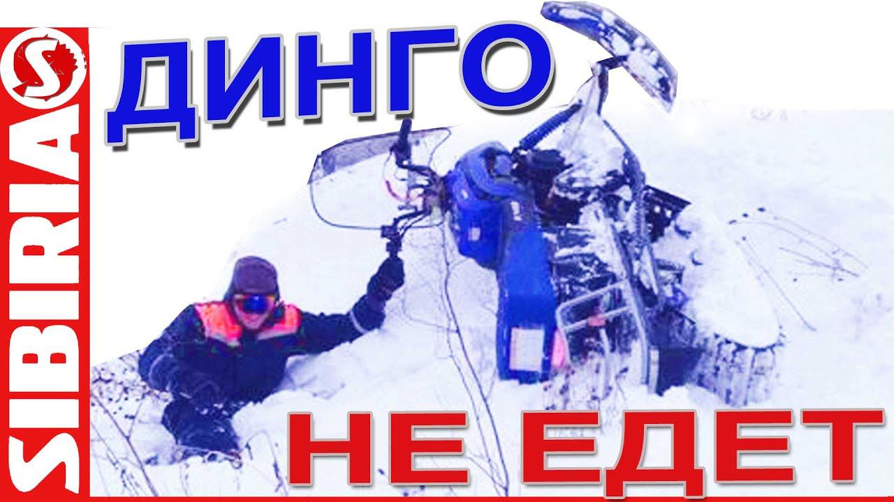 Динго НЕ ЕДЕТ. Динго Т150 по глубокому снегу с настом. Ирбис динго т150 проходимость