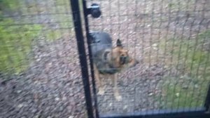 ЗАЩЕЛКА  НА КАЛИТКУ СВОИМИ РУКАМИ