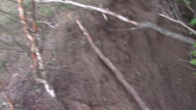 Напоминалка про дегельминтезацию коз смотреть онлайн