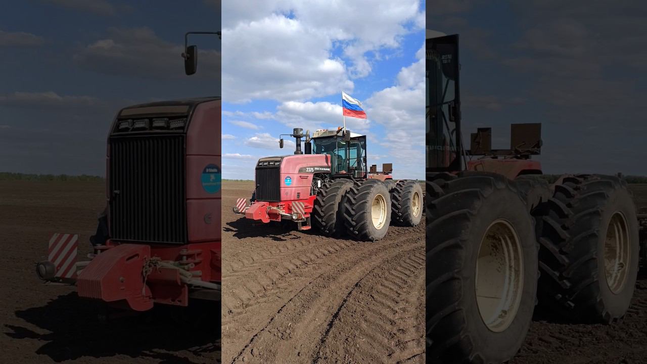 Вышли на сев подсолнечника смотреть онлайн