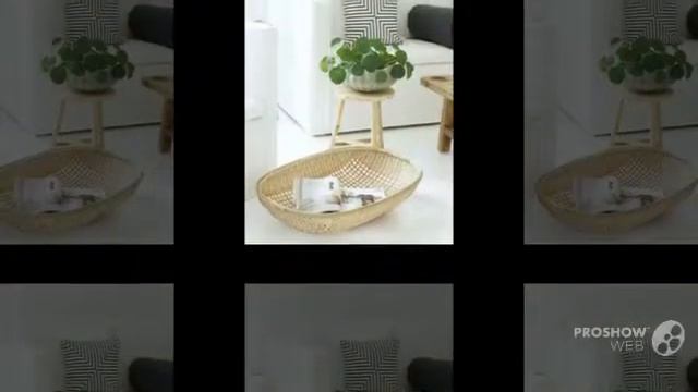 Pilea - garden plants смотреть онлайн