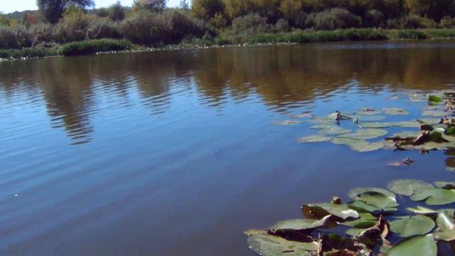 Рыбалка на Малышевском озере смотреть онлайн
