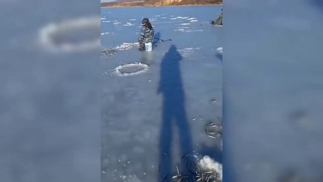 Корюшка - что может быть вкуснее? смотреть онлайн