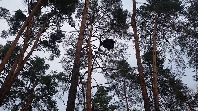 Порча на разорение врага смотреть онлайн