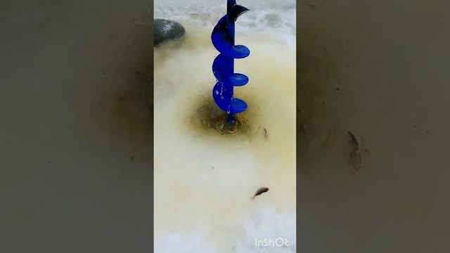 поиск карася для рыбалки на тягу смотреть онлайн