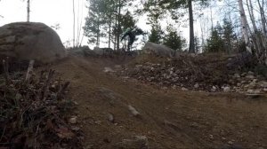 Миниатюрная американская овчарка - описание породы мини аусси