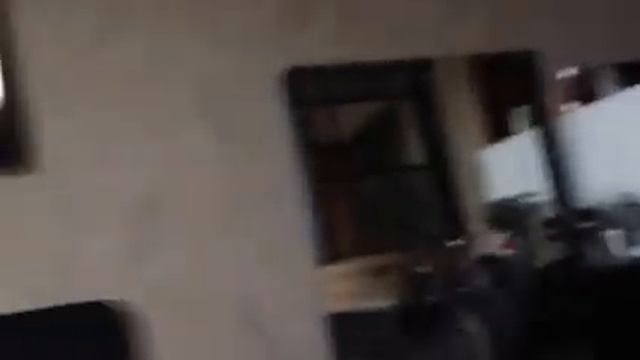 Шотландская вислоухая приносит игрушки смотреть онлайн