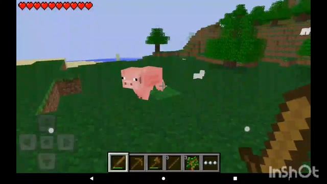 играю в Майнкрафт альфа 0.5.0 12 г. выпуска.И всё так быстро происходит .