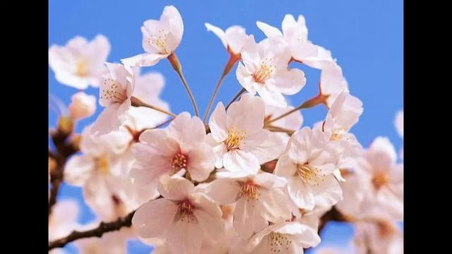 Выставка рисунков"Весеннее настроение" смотреть онлайн