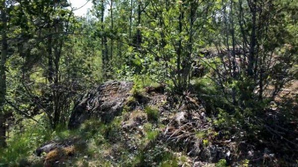 Red Fox Adventure Race 2019 глазами Олега Чегодаева