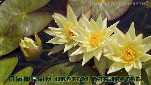С днём рождения, Марина! Поздравления с днём рождения по именам. смотреть онлайн