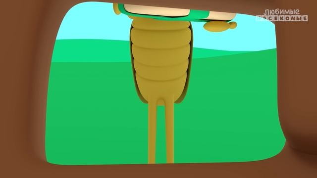 Сборник весёлых песен про насекомых | Любимые насекомые - Bichikids смотреть онлайн