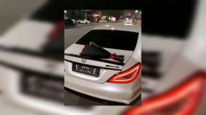 Roza Filberg - В белом самолёте